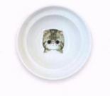 Ergonomic Spine Protection Pet Feeder