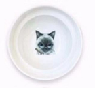 Ergonomic Spine Protection Pet Feeder